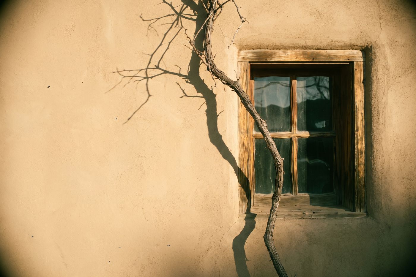 A sunlit adobe wall with a wooden window frame and the shadow of a vine falling across it