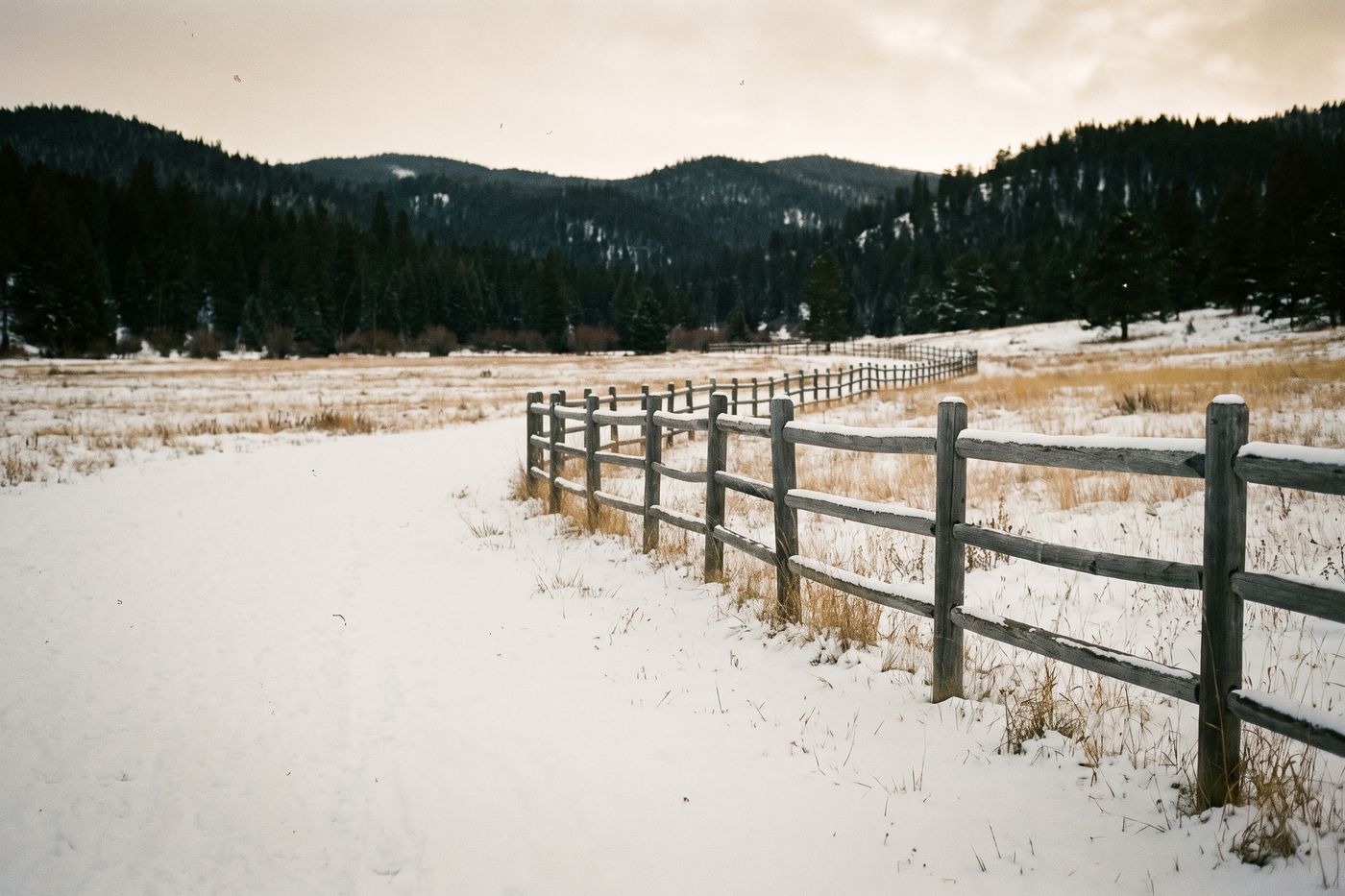 A weathered wooden rail fence crossing a snowy meadow toward dark evergreen hills