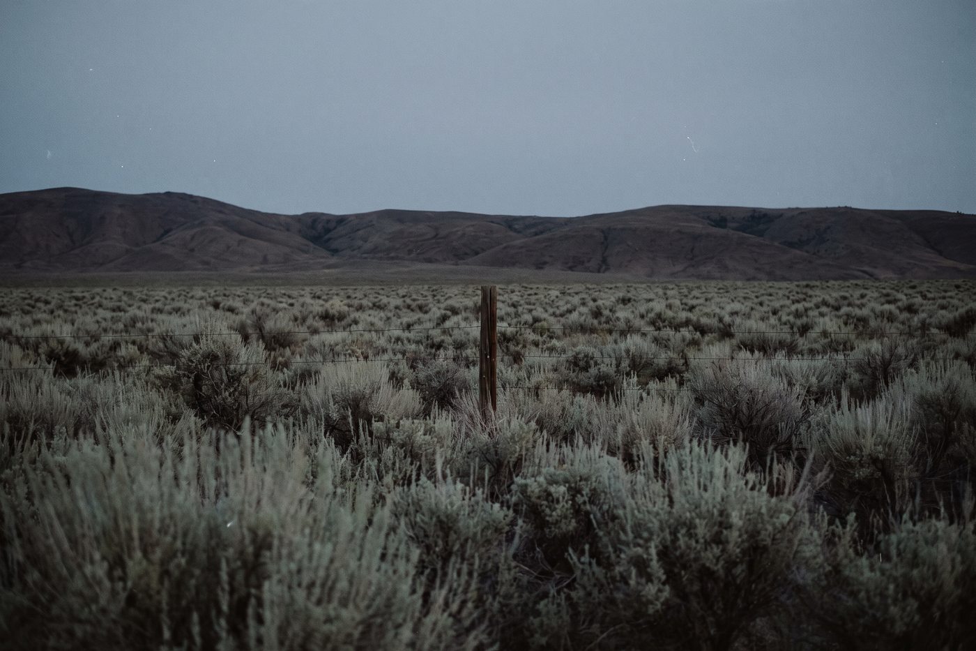 Open sagebrush plain at dusk with low hills on the horizon under a flat grey-blue sky